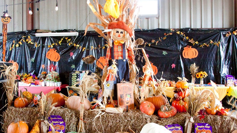 New LaPlace Pumpkin Patch supports a great cause - L'Observateur | L ...