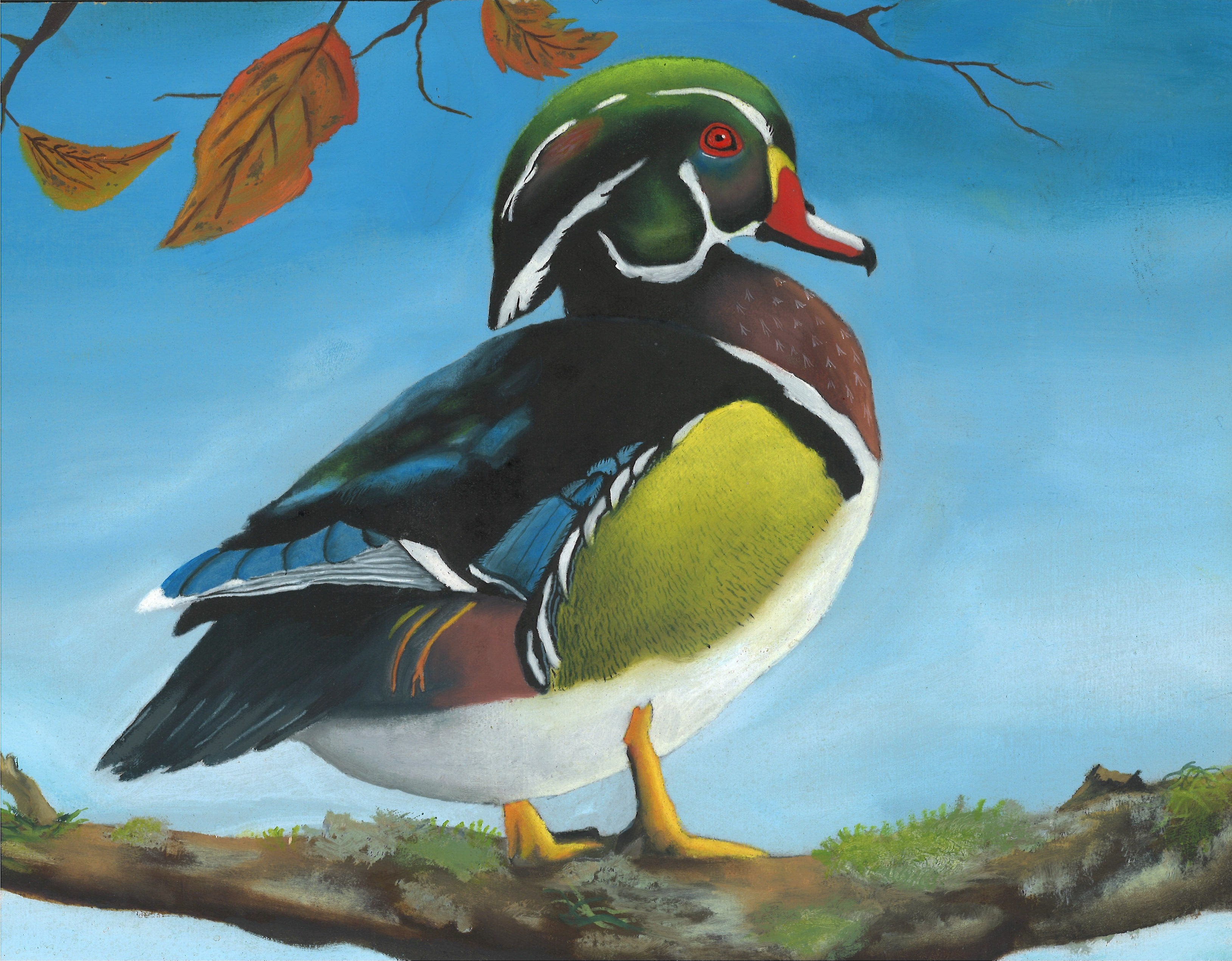 Shreveport student wins Louisiana Junior Duck Stamp Contest Best